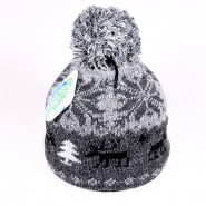 Winter children's hat James ZCDE008 black, gray