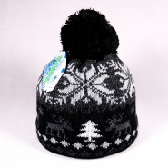Winter children's hat James ZCDE008 black, gray